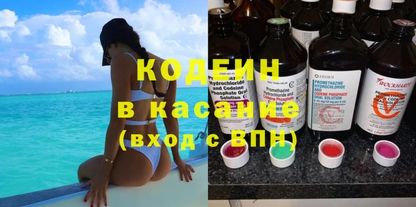 индика Алзамай